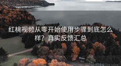 红桃视频从零开始使用步骤到底怎么样？真实反馈汇总