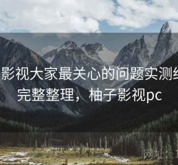 柚子影视大家最关心的问题实测结果：完整整理，柚子影视pc
