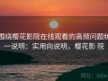 围绕樱花影院在线观看的高频问题统一说明：实用向说明，樱花影 院