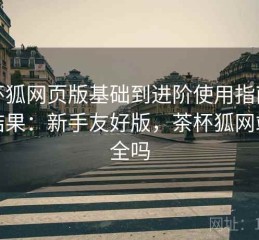 茶杯狐网页版基础到进阶使用指南实测结果：新手友好版，茶杯狐网站安全吗