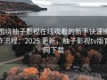 围绕柚子影视在线观看的新手快速操作流程：2025 更新，柚子影视tv版官网下载