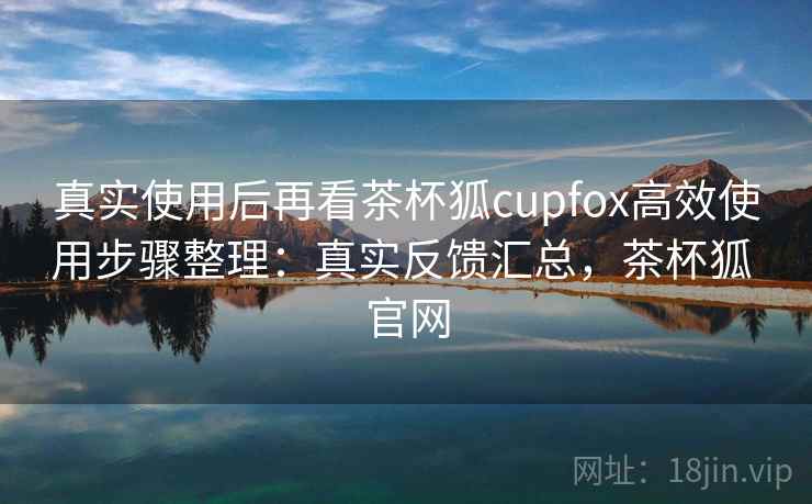 真实使用后再看茶杯狐cupfox高效使用步骤整理：真实反馈汇总，茶杯狐 官网