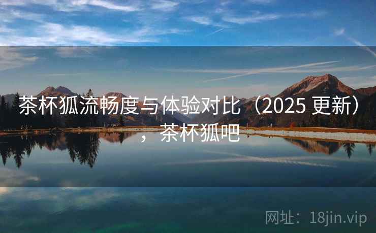 茶杯狐流畅度与体验对比（2025 更新），茶杯狐吧
